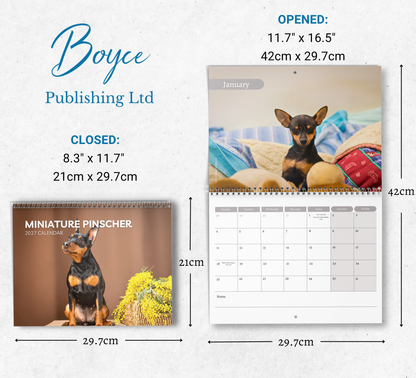 Miniature Pinscher Calendar 2027
