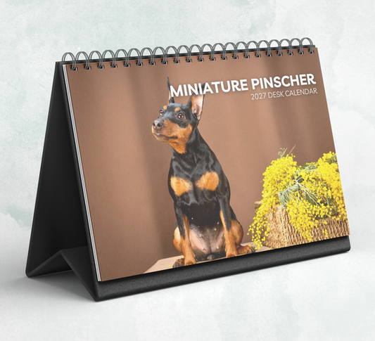 Miniature Pinscher Desk Calendar 2027-2028