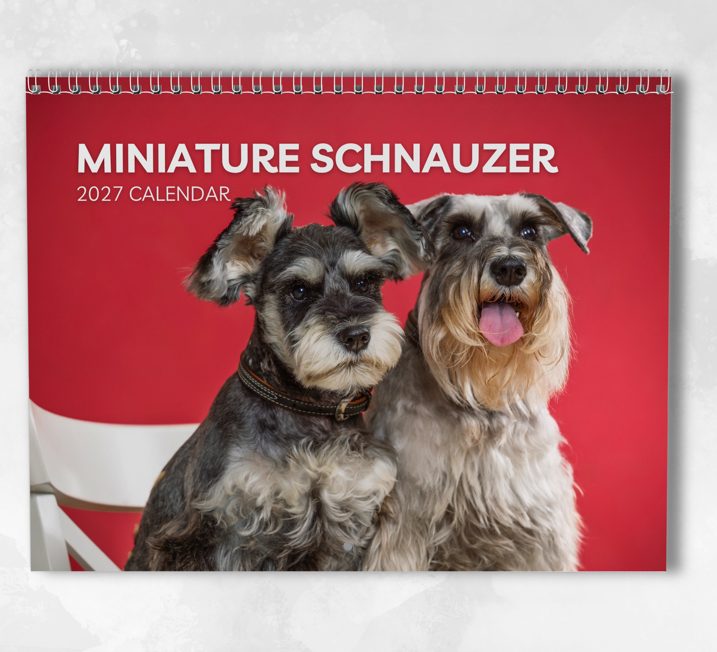 Miniature Schnauzer Calendar 2027