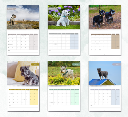 Miniature Schnauzer Calendar 2027