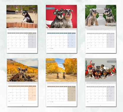 Miniature Schnauzer Calendar 2027