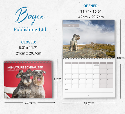 Miniature Schnauzer Calendar 2027