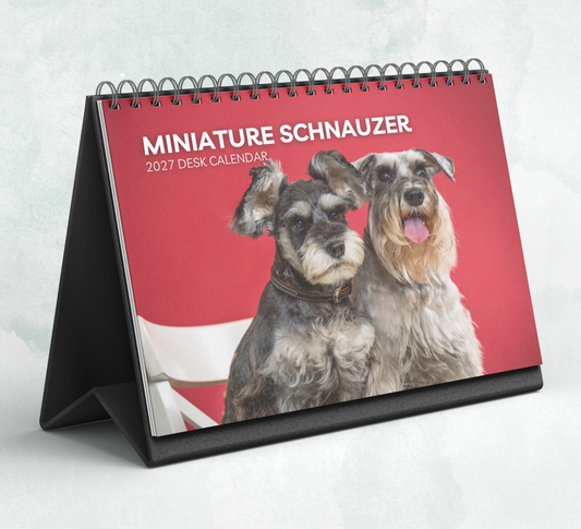 Miniature Schnauzer Desk Calendar 2027-2028