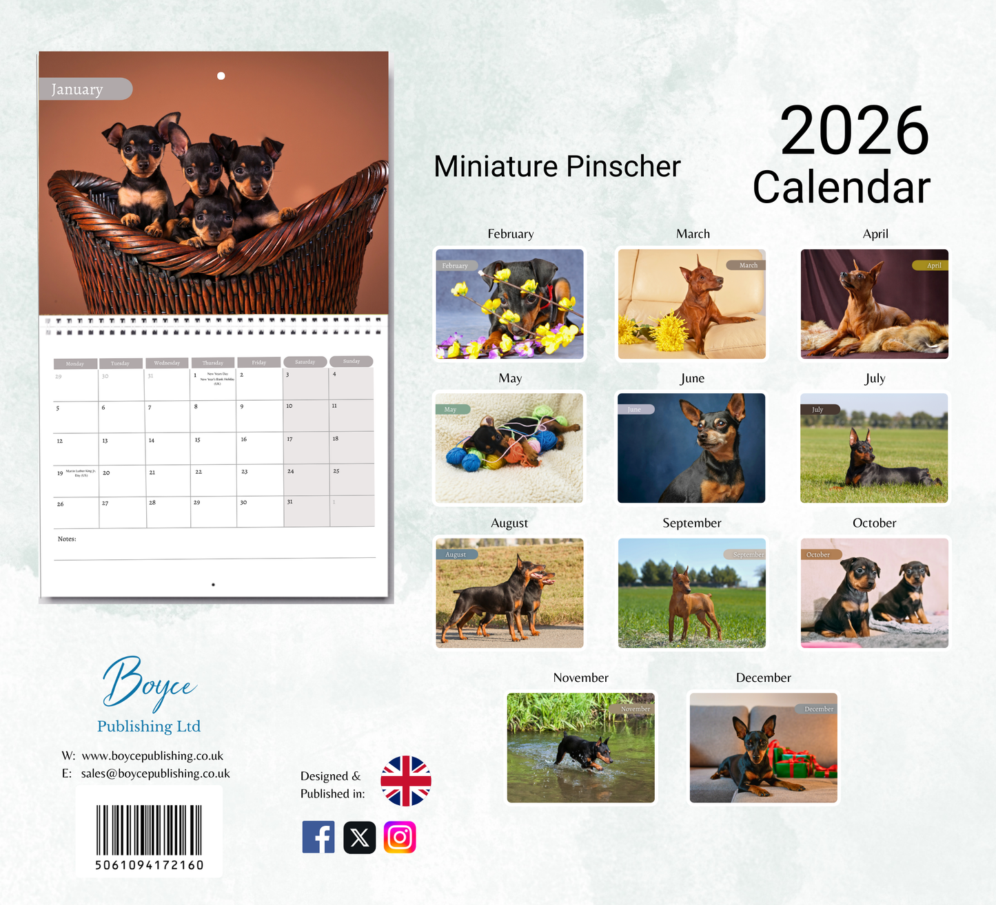 Miniature Pinscher Calendar 2026
