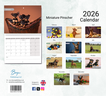 Miniature Pinscher Calendar 2026