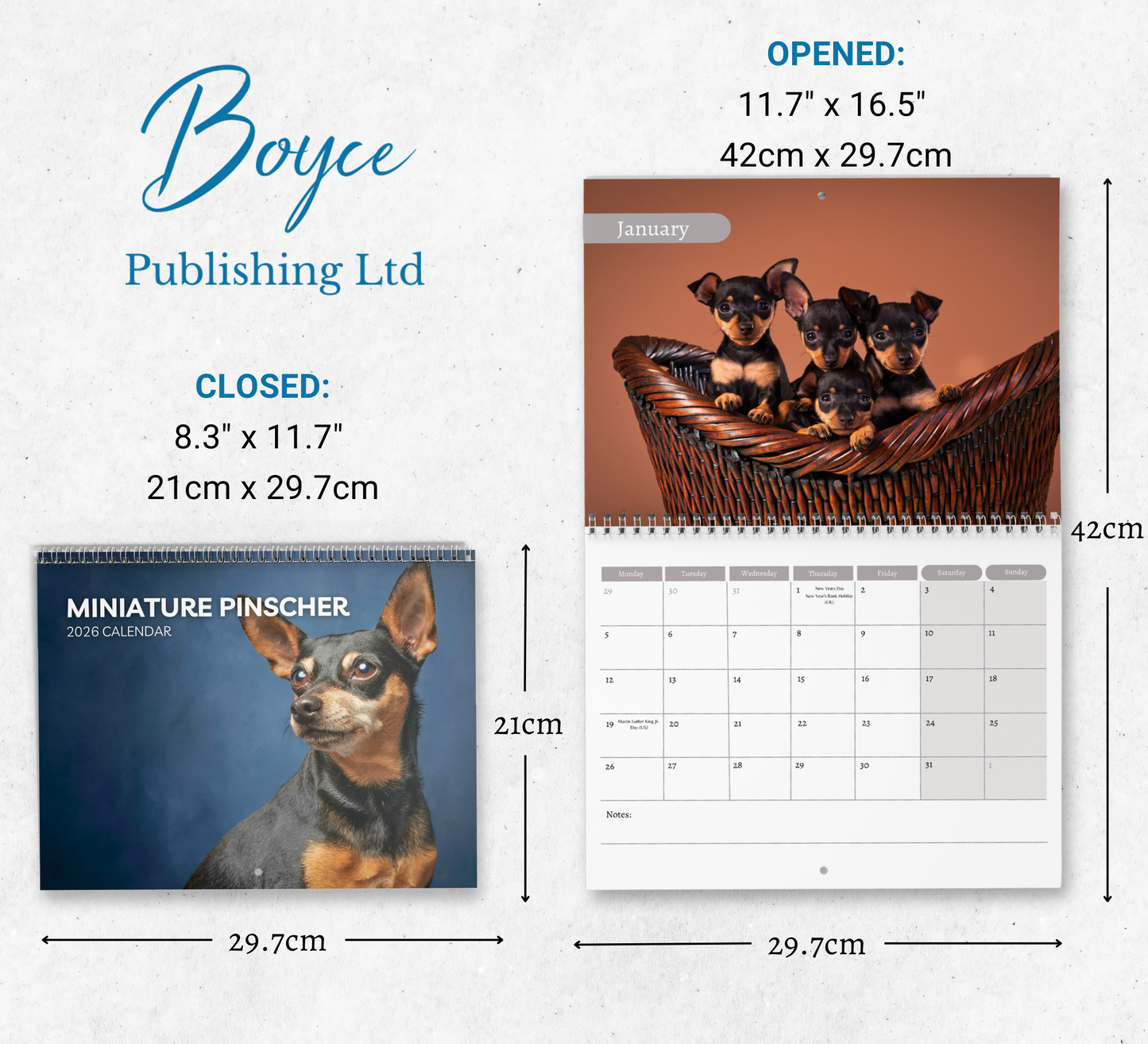 Miniature Pinscher Calendar 2026