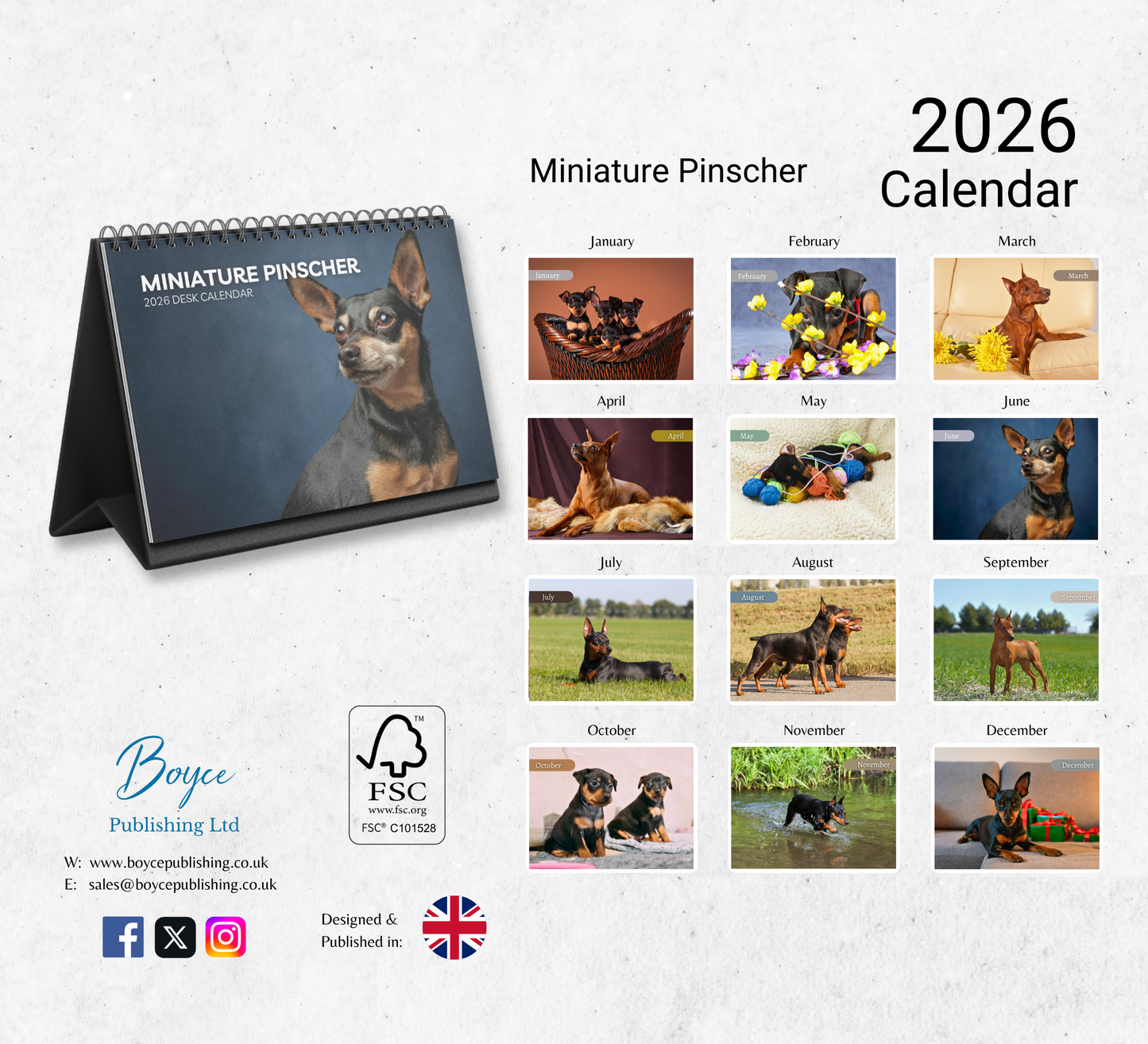 Miniature Pinscher Desk Calendar 2026-2027