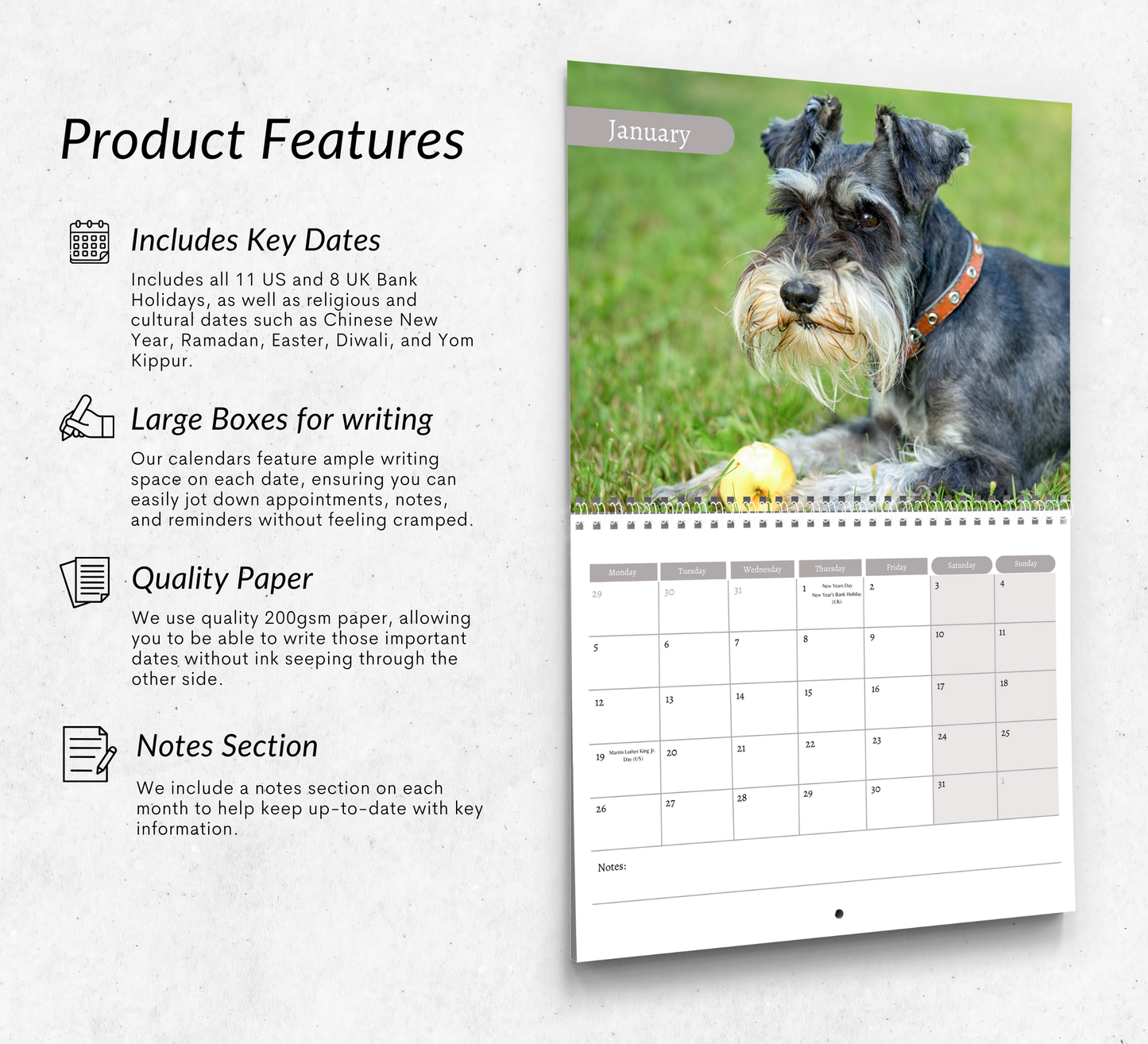 Miniature Schnauzer Calendar 2026