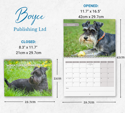 Miniature Schnauzer Calendar 2026