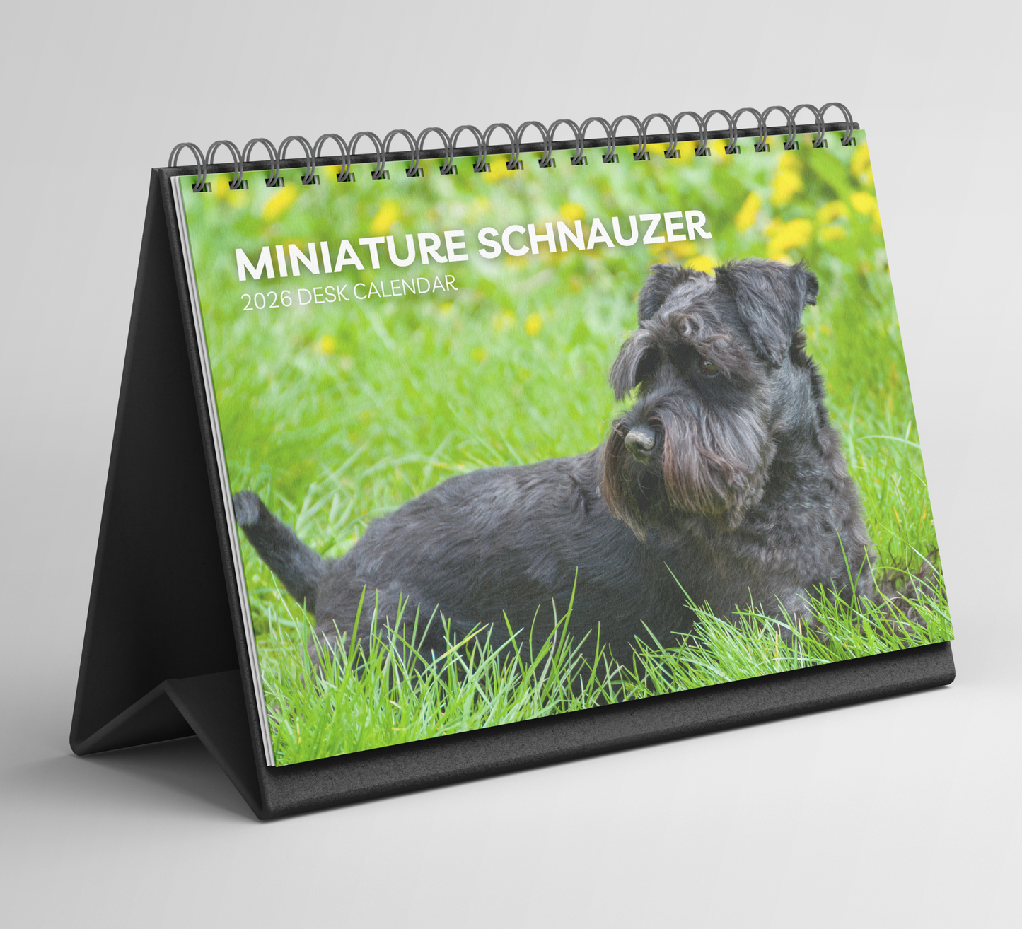 Miniature Schnauzer Desk Calendar 2026-2027