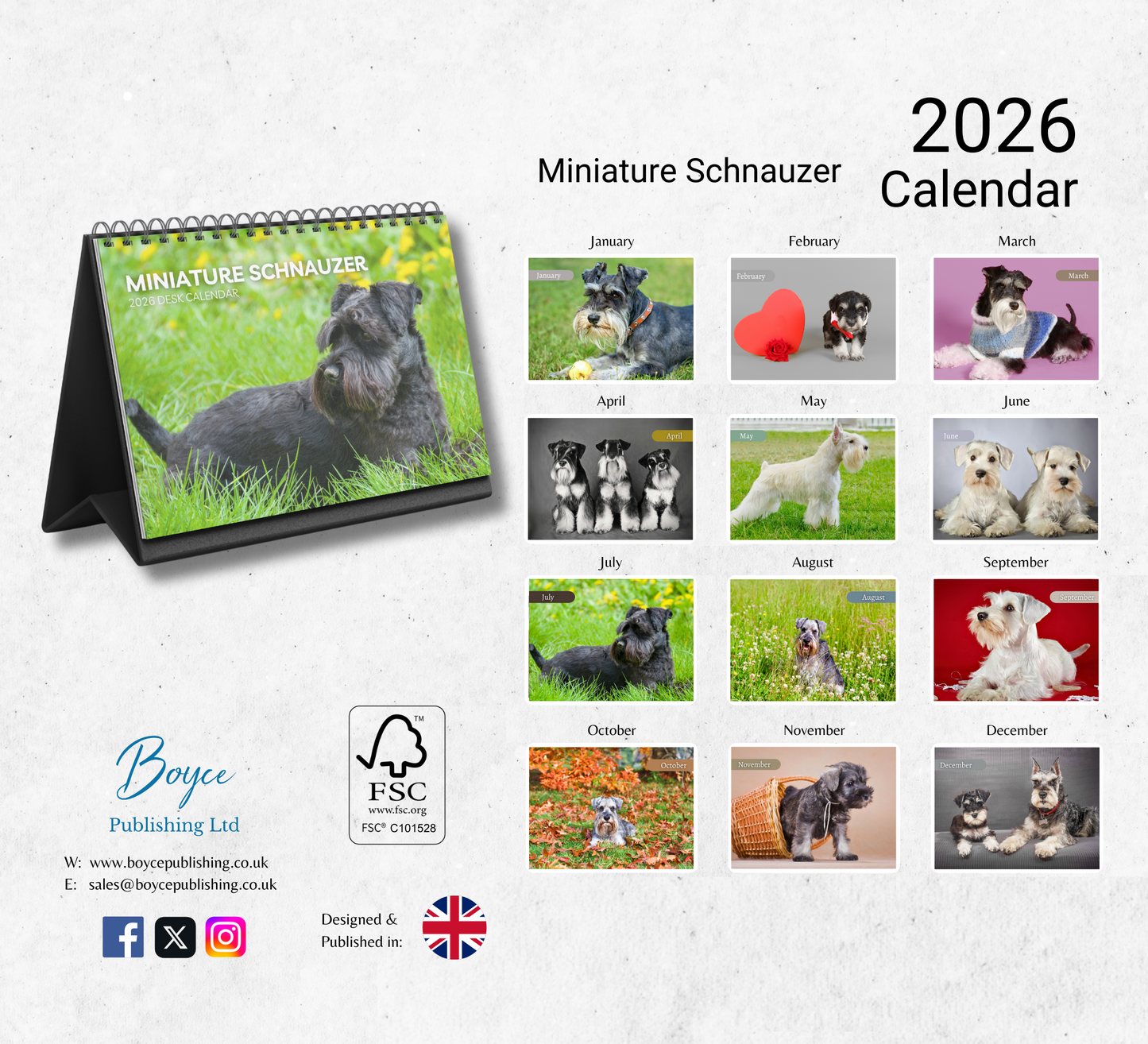 Miniature Schnauzer Desk Calendar 2026-2027