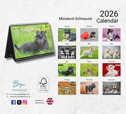 Miniature Schnauzer Desk Calendar 2026-2027
