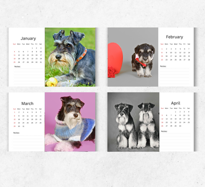 Miniature Schnauzer Desk Calendar 2026-2027
