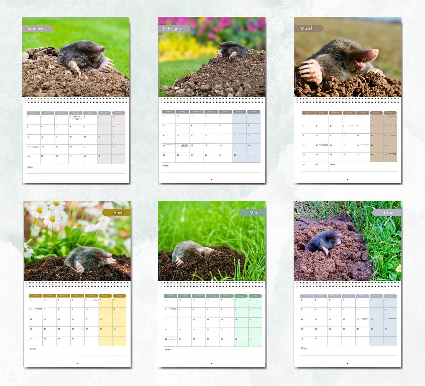 Mole Calendar 2027