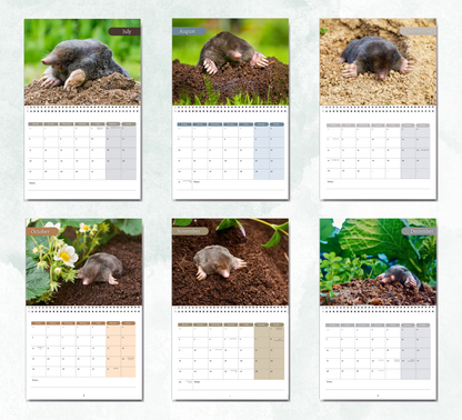Mole Calendar 2027