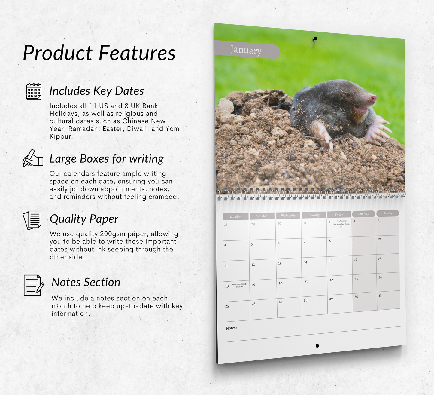 Mole Calendar 2027