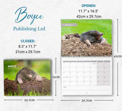 Mole Calendar 2027