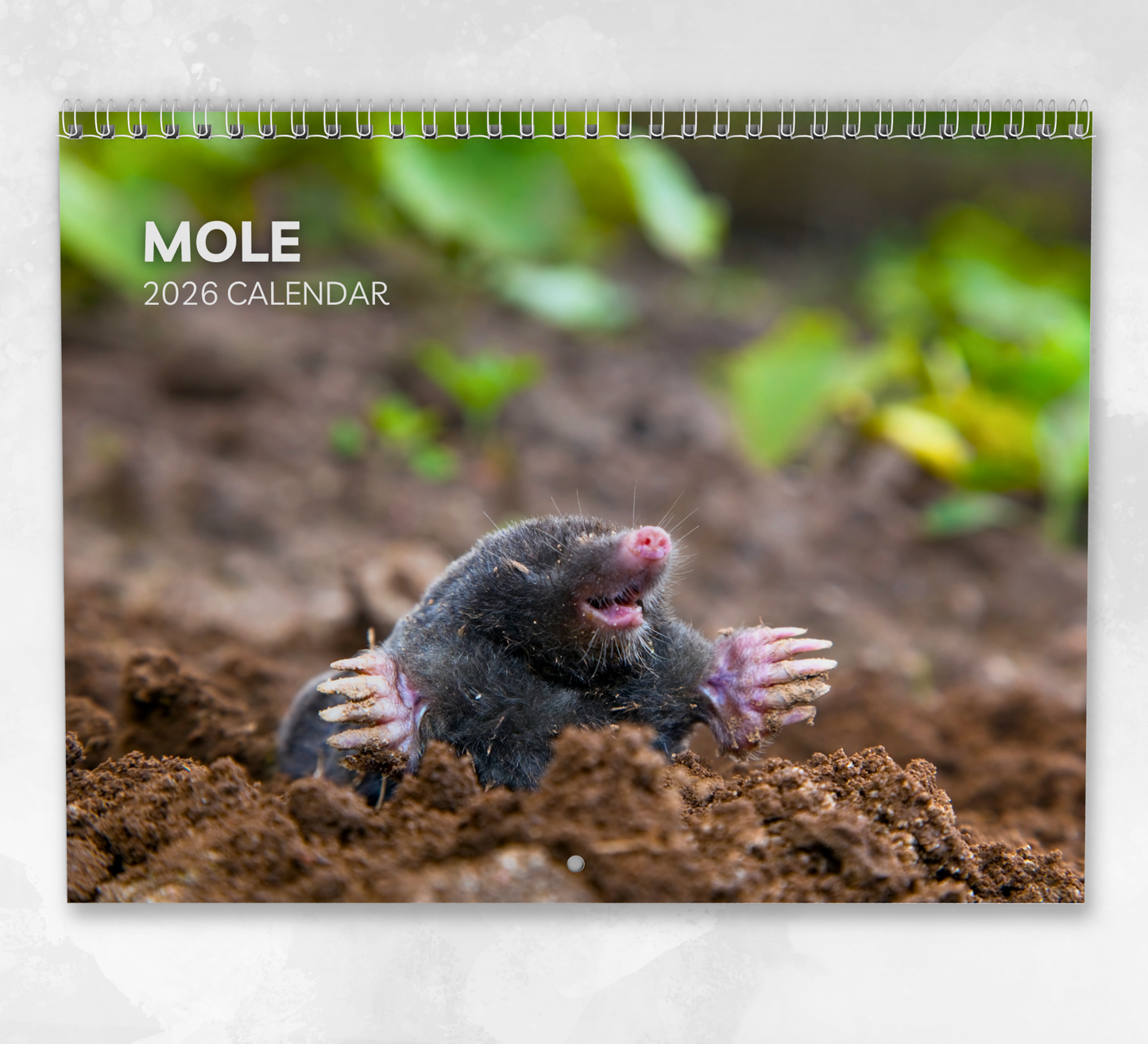 Mole Calendar 2026