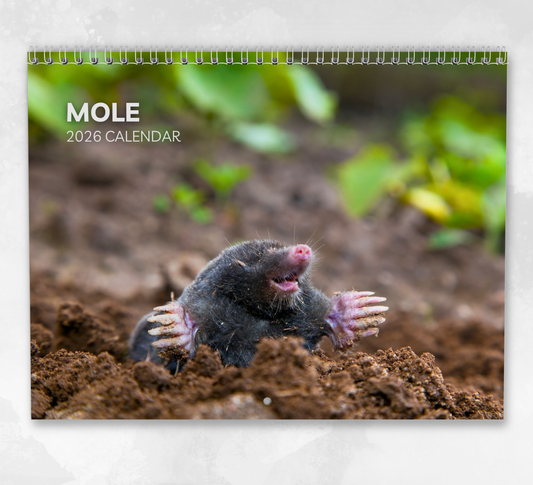 Mole Calendar 2026