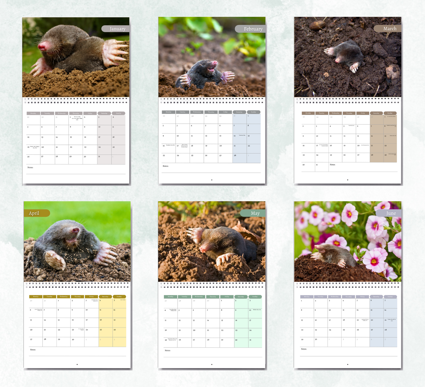 Mole Calendar 2026