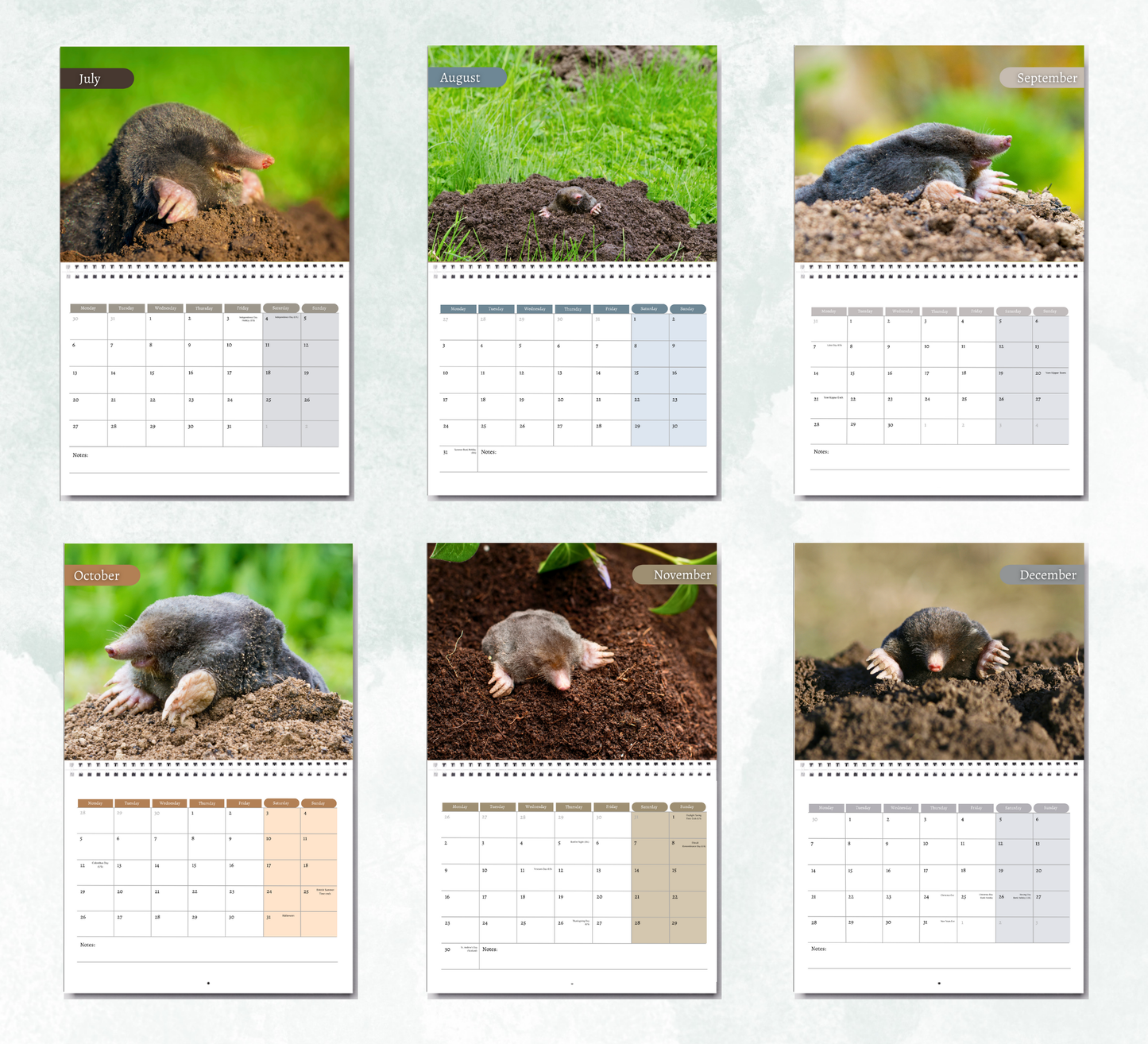 Mole Calendar 2026