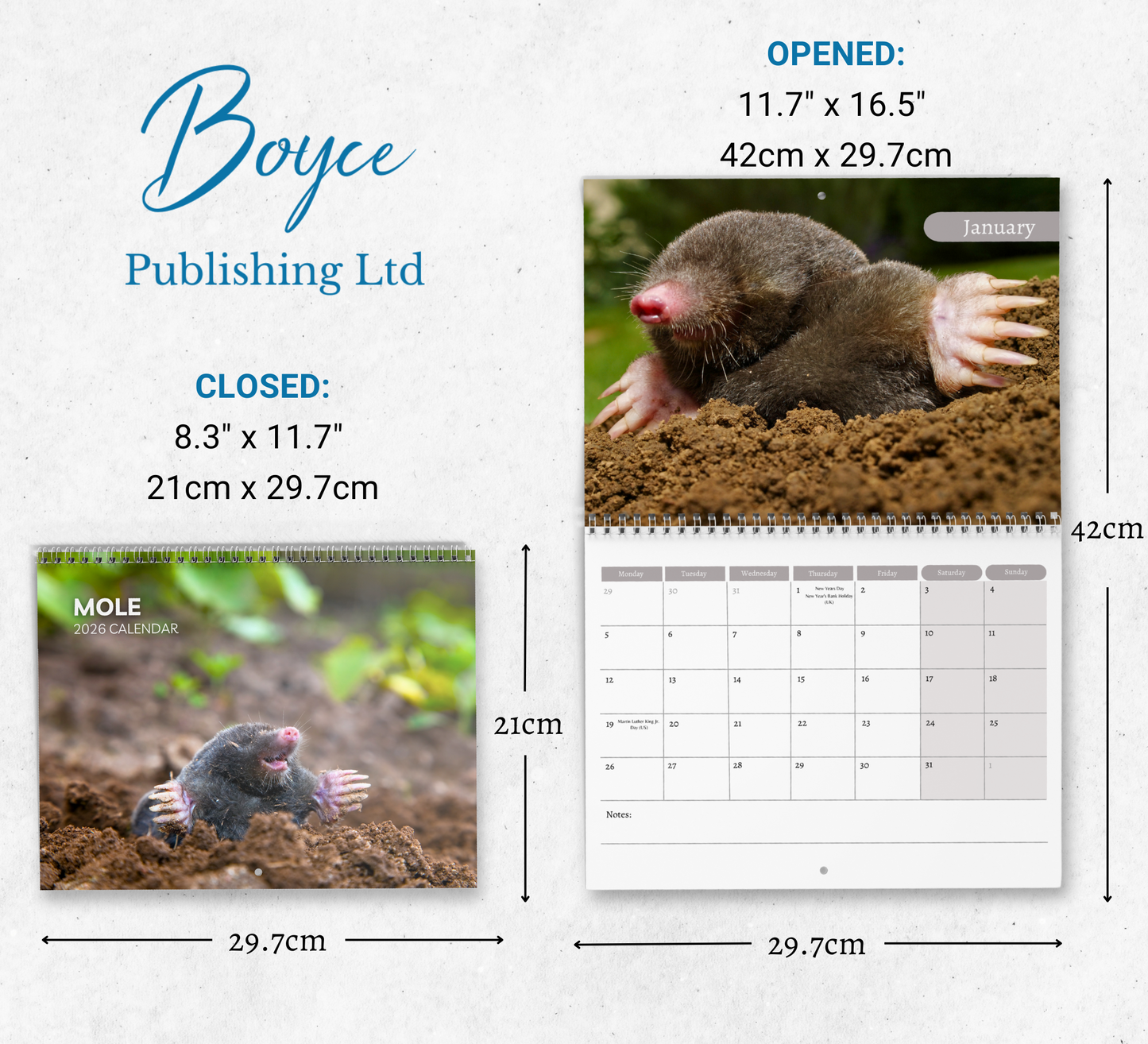 Mole Calendar 2026