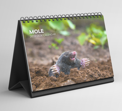 Mole Desk Calendar 2026-2027
