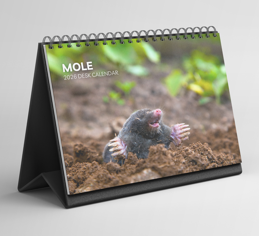 Mole Desk Calendar 2026-2027