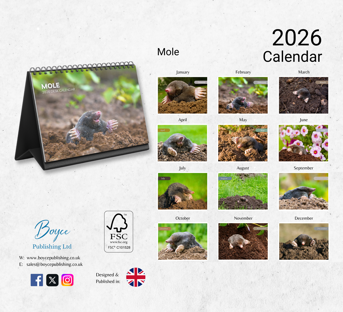 Mole Desk Calendar 2026-2027