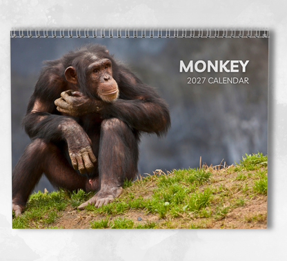 Monkey Calendar 2027