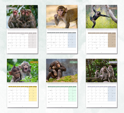 Monkey Calendar 2027