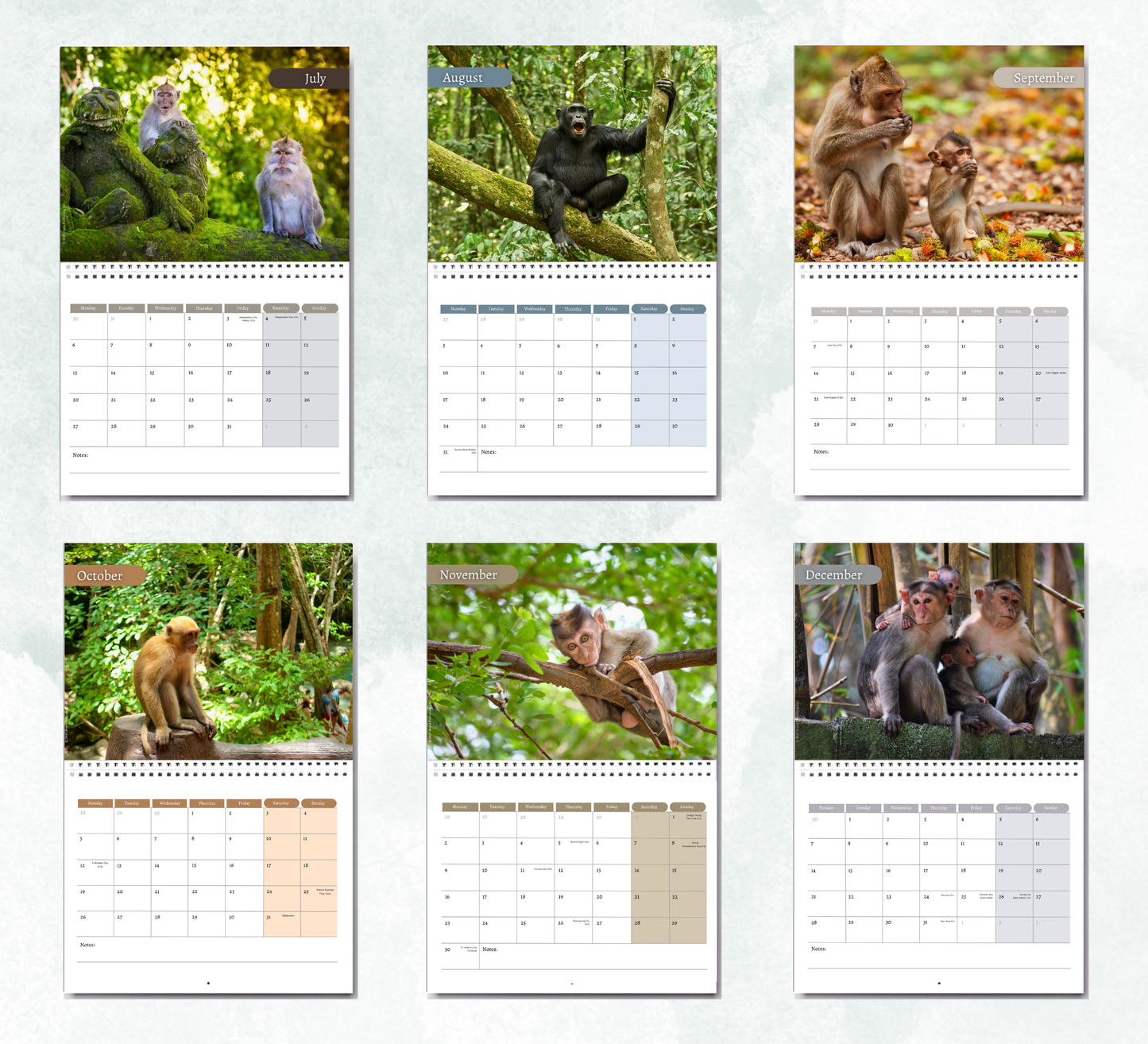 Monkey Calendar 2027