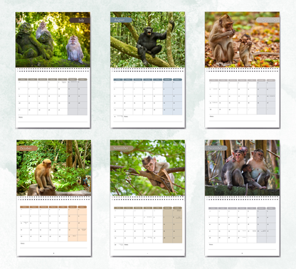 Monkey Calendar 2027