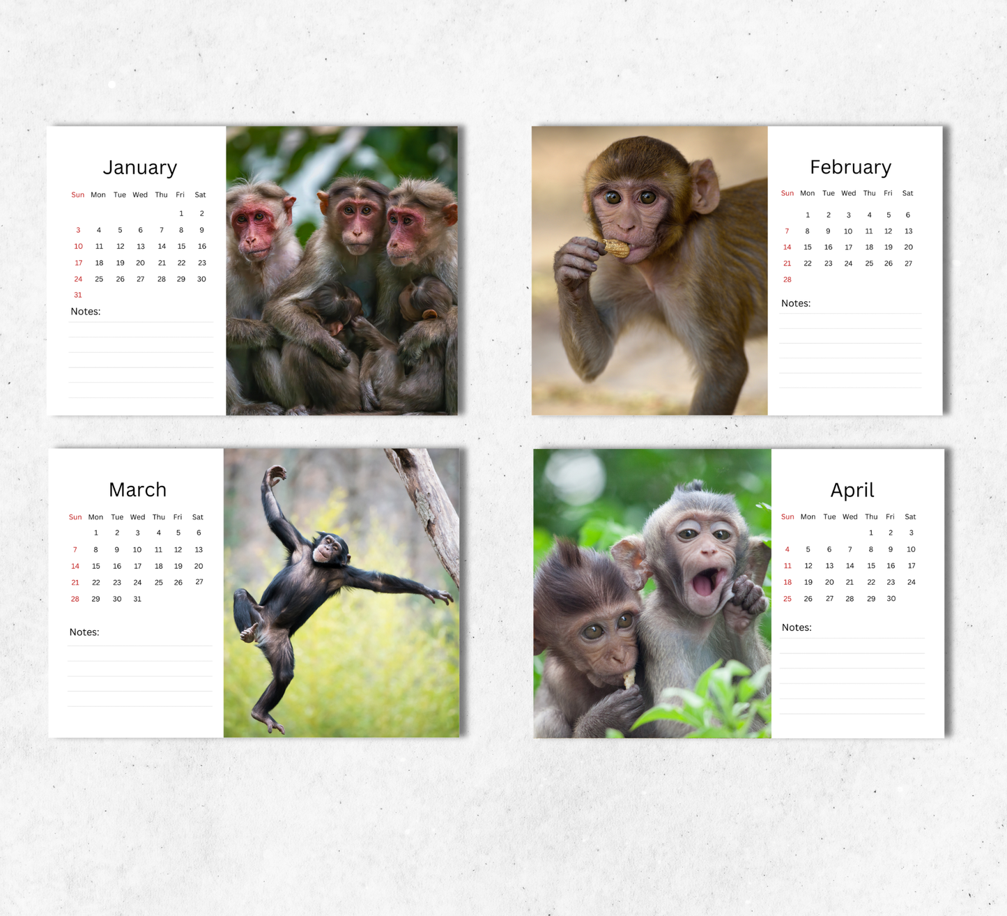 Monkey Desk Calendar 2027-2028