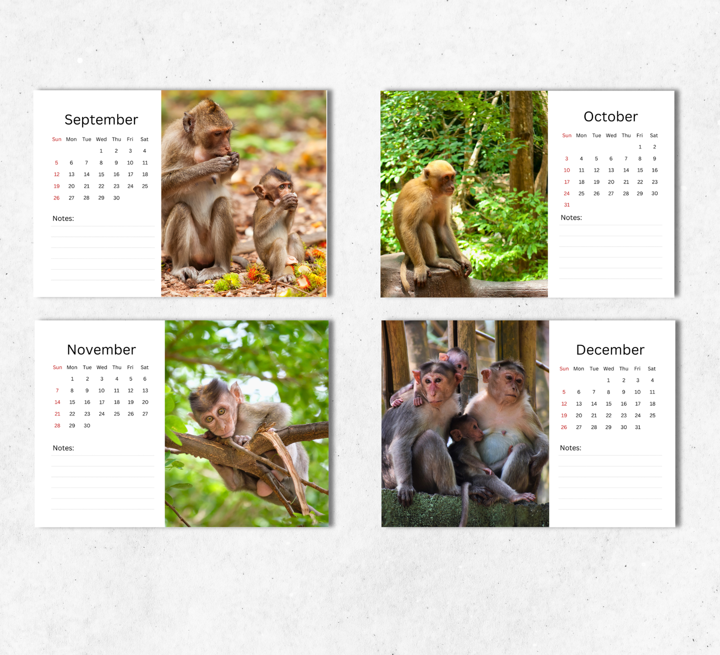Monkey Desk Calendar 2027-2028