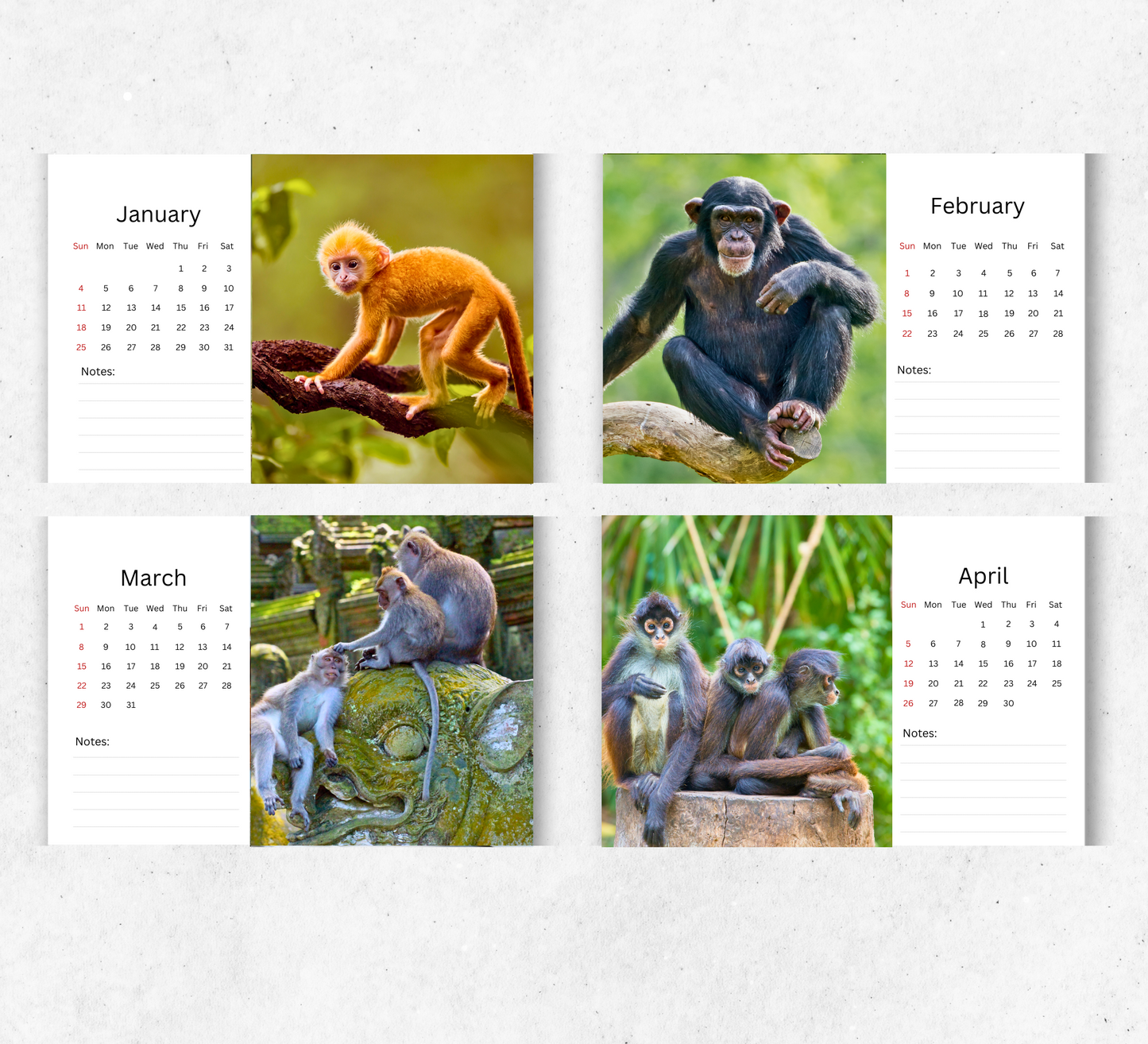 Monkey Desk Calendar 2026-2027