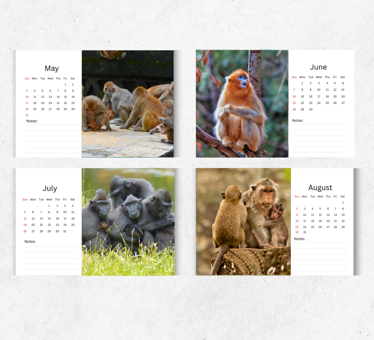 Monkey Desk Calendar 2026-2027