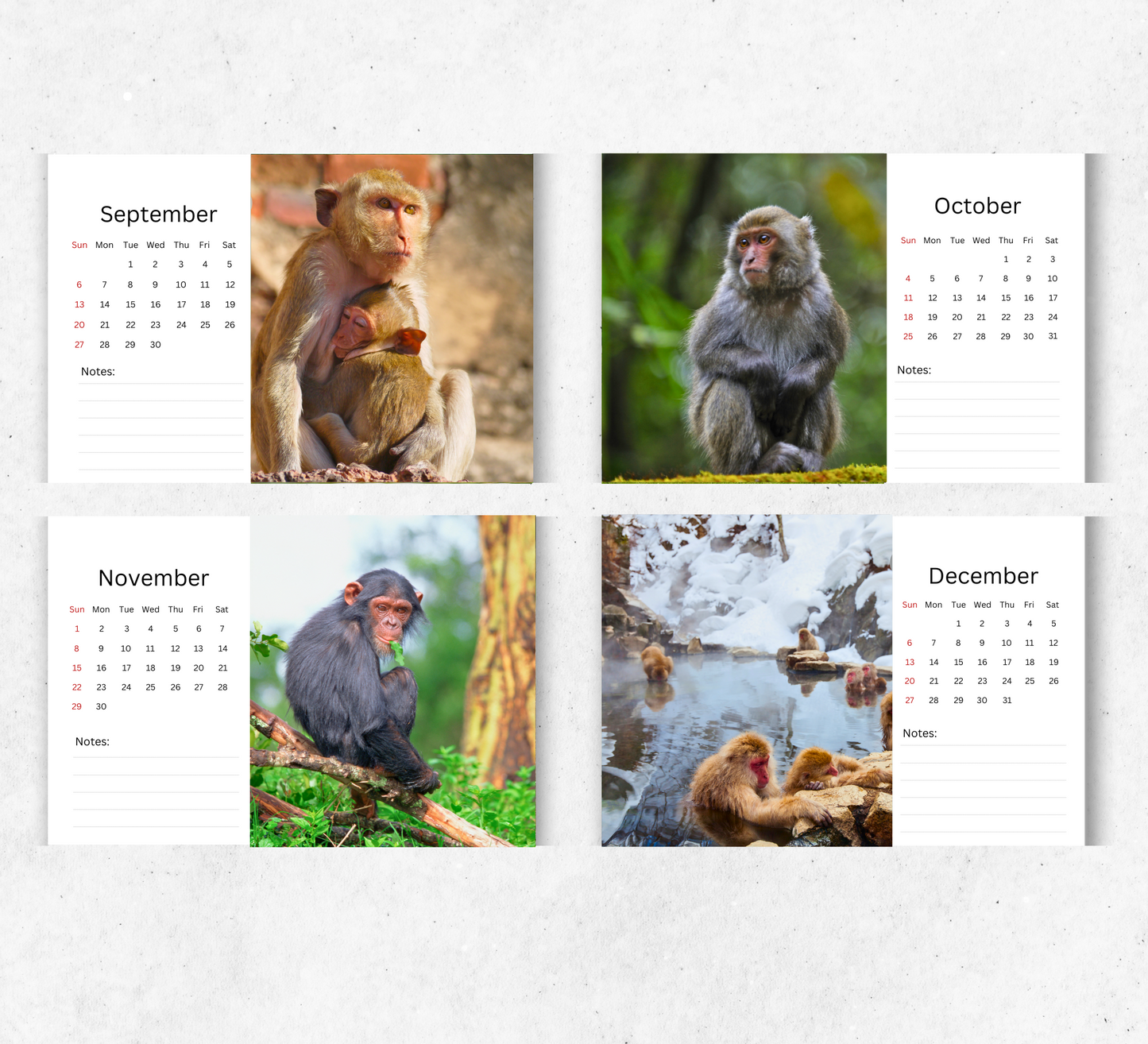 Monkey Desk Calendar 2026-2027