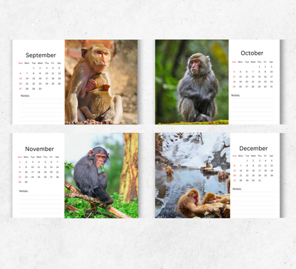 Monkey Desk Calendar 2026-2027