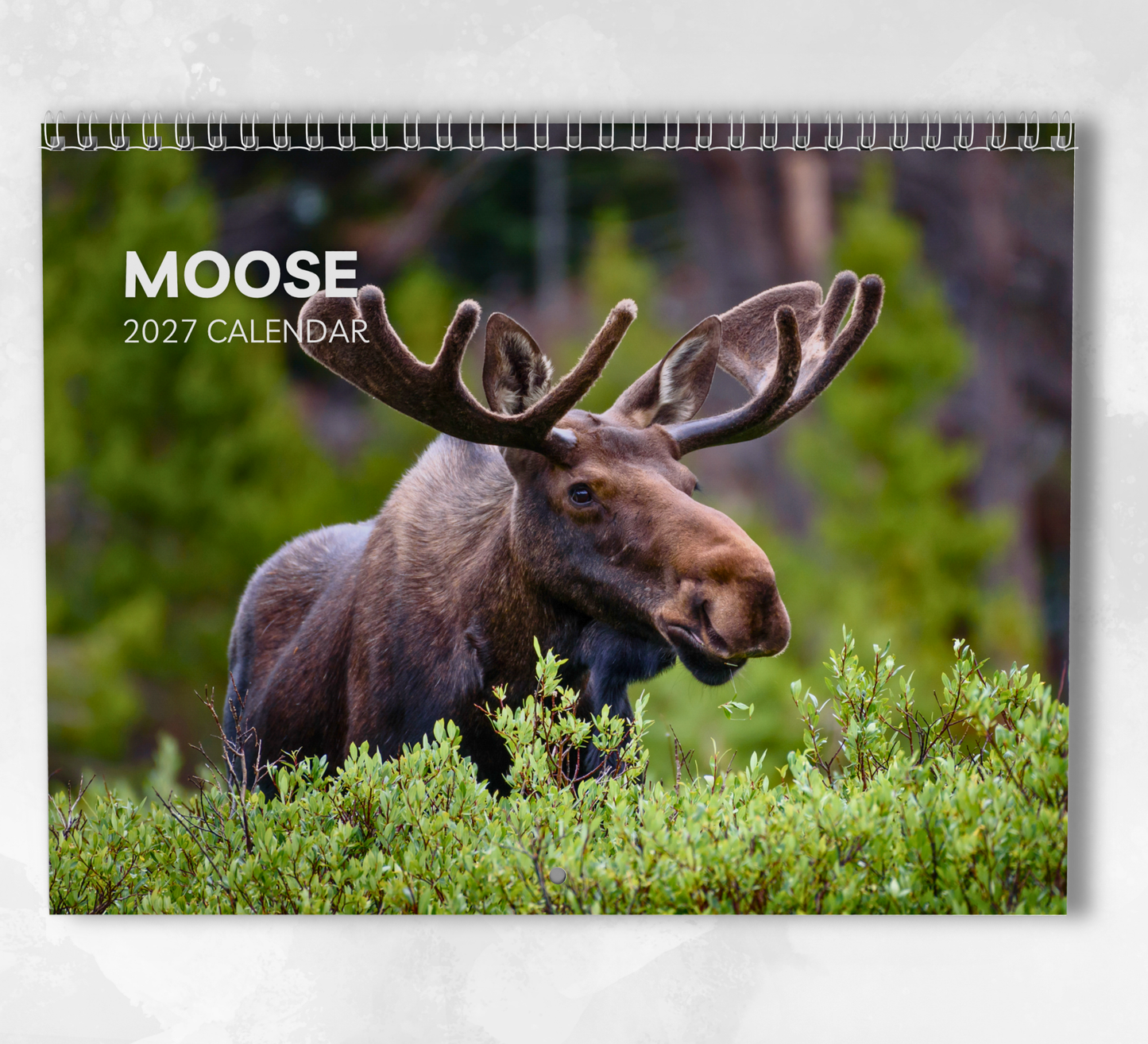Moose Calendar 2027