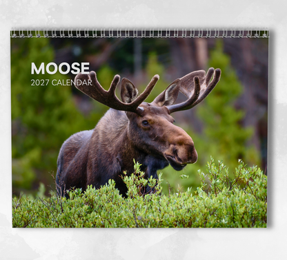 Moose Calendar 2027