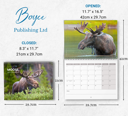 Moose Calendar 2027
