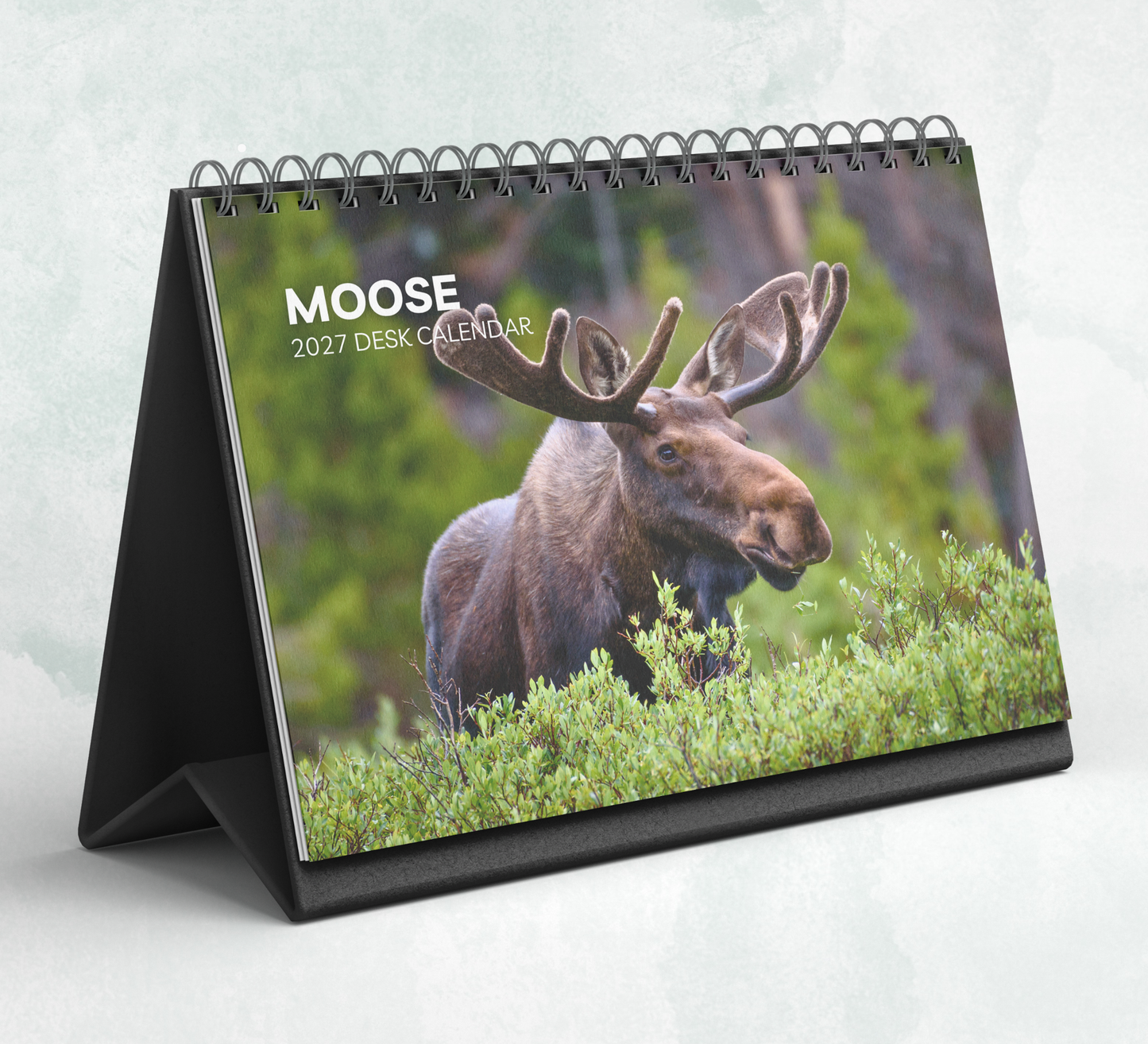 Moose Desk Calendar 2027-2028