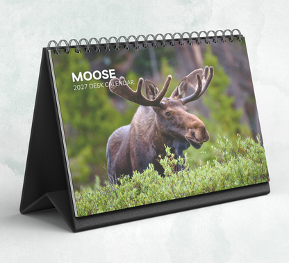 Moose Desk Calendar 2027-2028