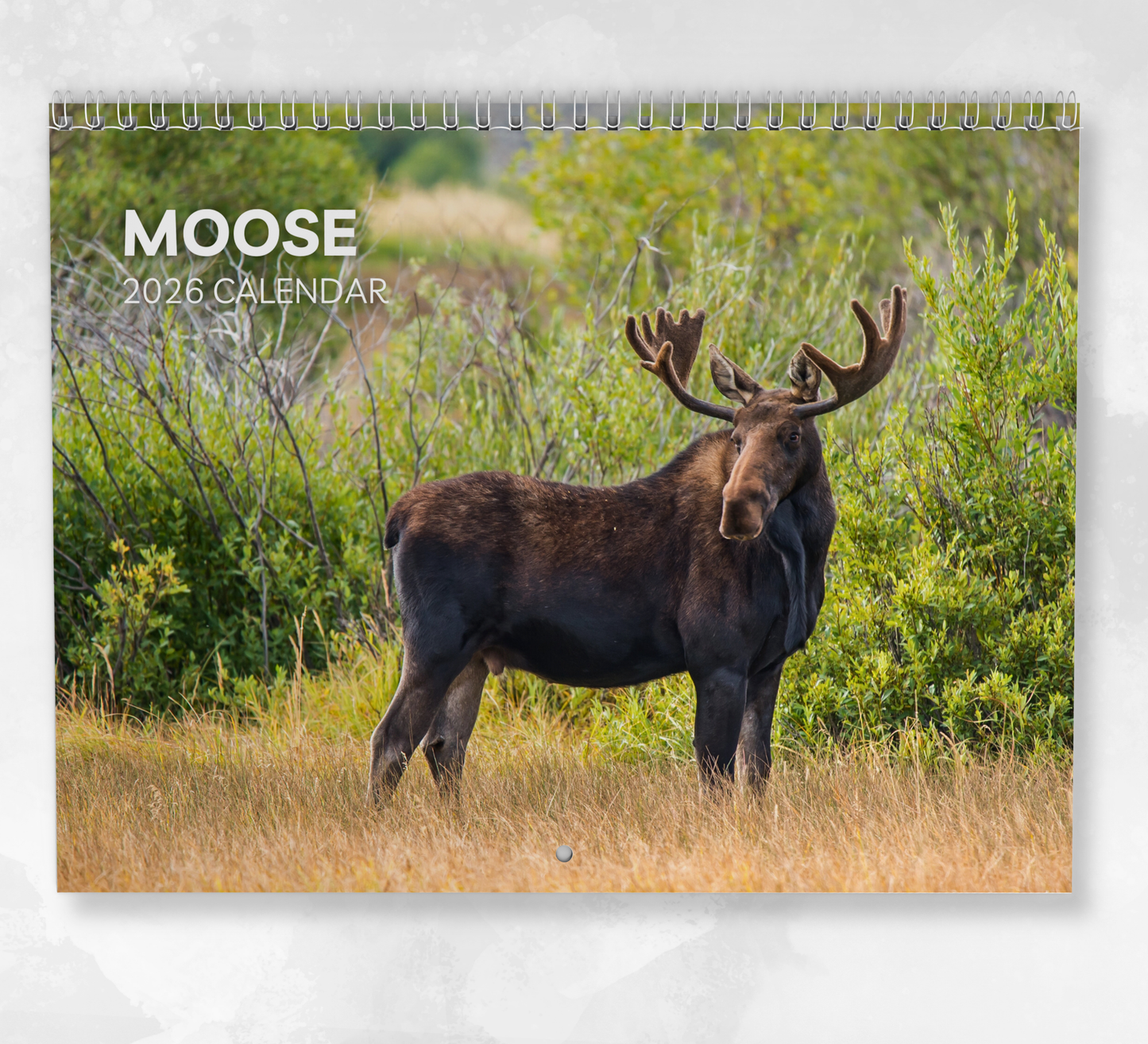 Moose Calendar 2026