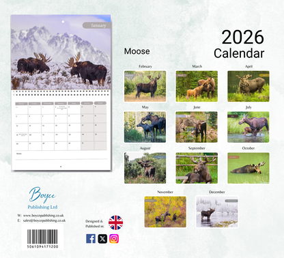 Moose Calendar 2026