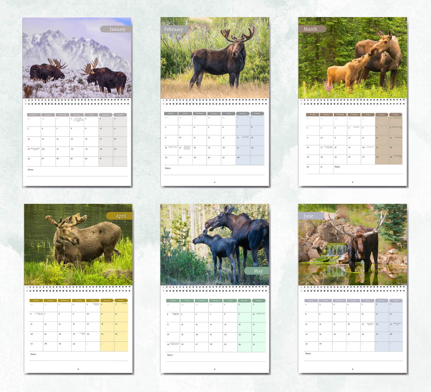 Moose Calendar 2026
