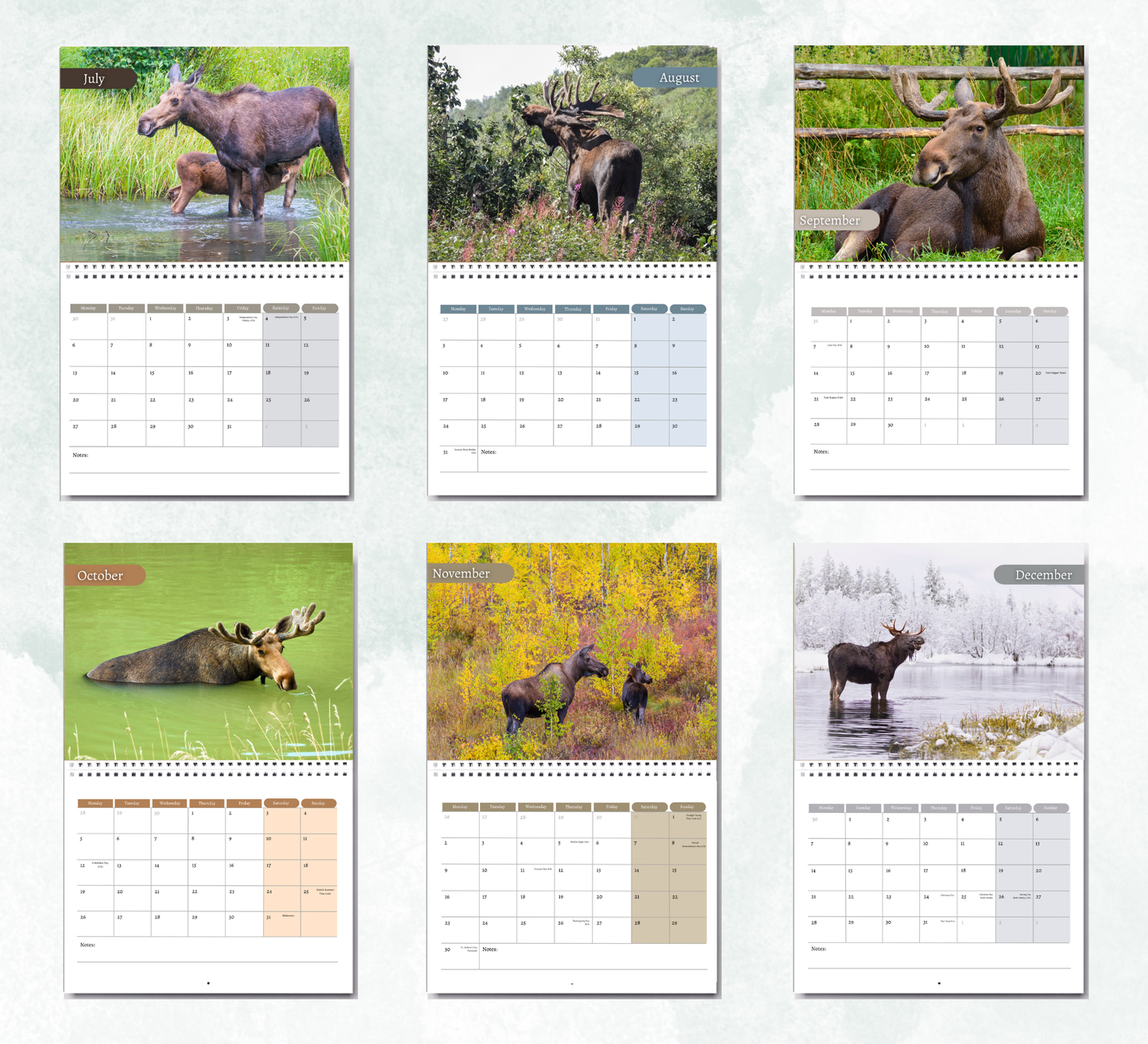 Moose Calendar 2026
