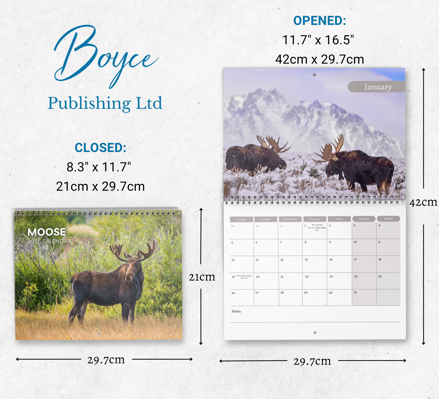 Moose Calendar 2026