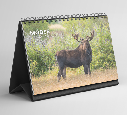 Moose Desk Calendar 2026-2027